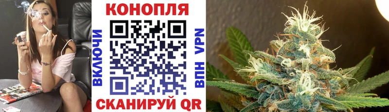 Где можно купить наркотики Светогорск A-PVP  Кетамин  АМФ  Канабис  Галлюциногенные грибы  Гашиш  Кокаин 