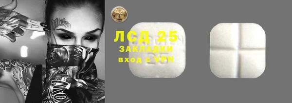 прущие грибы Волосово