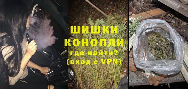 гидропоника Белокуриха