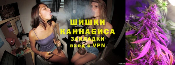 молекула духа Горно-Алтайск